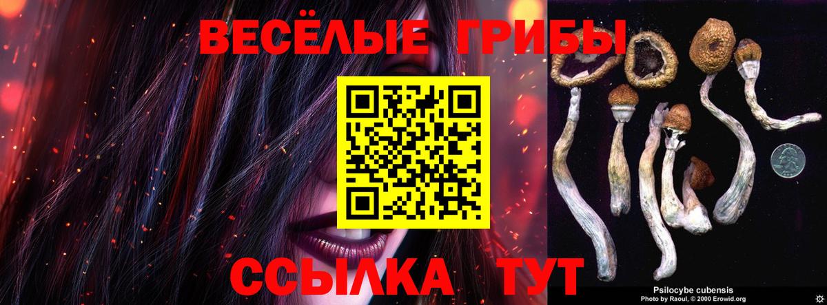 Галлюциногенные грибы MAGIC MUSHROOMS  Вход с VPN  Майкоп 